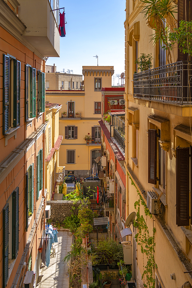 Elevated view of narrow street in Naples, Naples, Campania, Italy, Europe