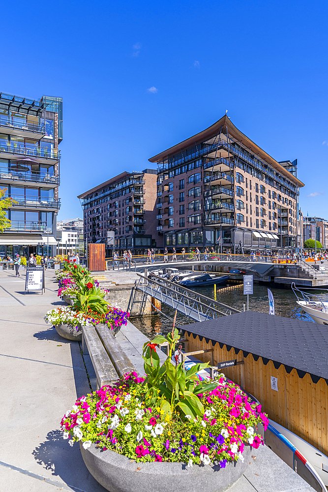 View of summer flowers and waterfront architecture, Aker Brygge, Oslo, Norway, Scandinavia, Europe