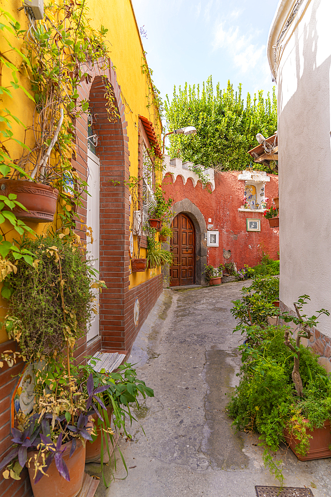 View of colourful backstreet in Forio, Forio, Island of Ischia, Campania, Italy, Europe