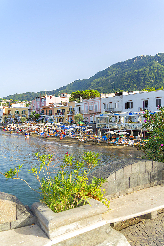 View of beach and town of Lacco Ameno, Island of Ischia, Campania, Italy, Europe