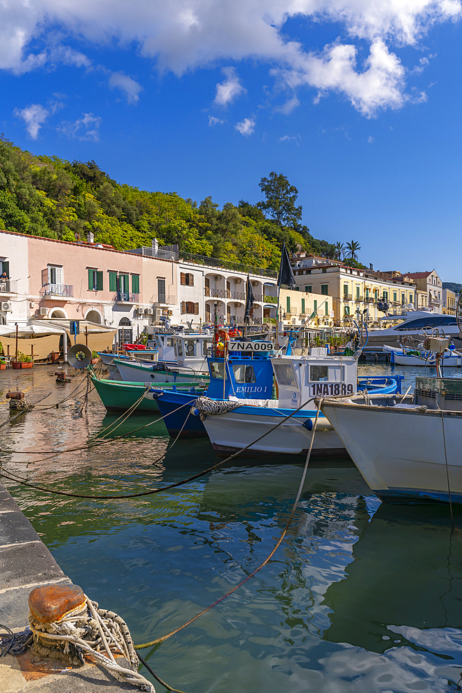 View of boats and restaurants in Porto d'Ischia (Port of Ischia), Island of Ischia, Campania, Italy, Europe