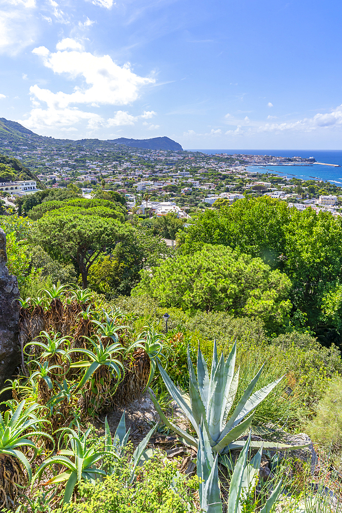 View of tropical flora in Giardini la Mortella Botanical Gardens and Forio in background, Forio, Island of Ischia, Campania, Italy, Europe