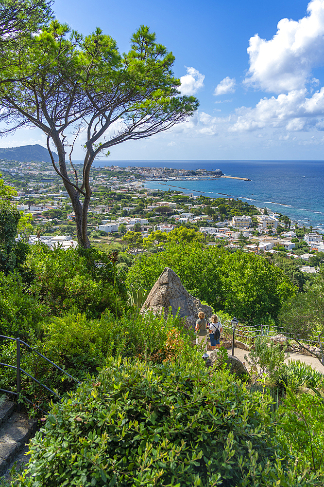 View of tropical flora in Giardini la Mortella Botanical Gardens and Forio in background, Forio, Island of Ischia, Campania, Italy, Europe