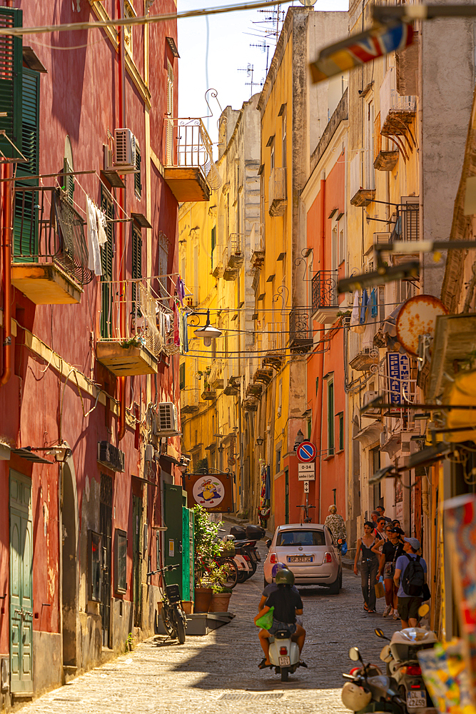 View of colourful narrow backstreet in the fishing port, Procida, Phlegraean Islands, Gulf of Naples, Campania, Southern Italy, Italy, Europe