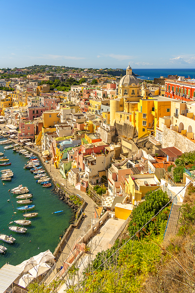 View of Marina di Corricella from elevated position, Procida, Phlegraean Islands, Gulf of Naples, Campania, Southern Italy, Italy, Europe