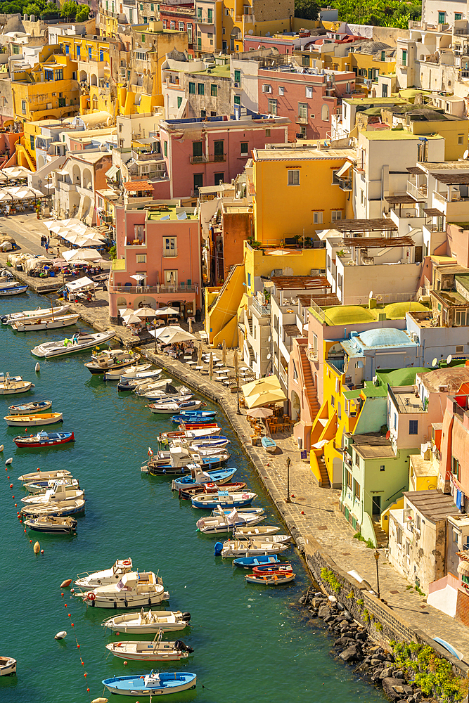 View of Marina di Corricella from elevated position, Procida, Phlegraean Islands, Gulf of Naples, Campania, Southern Italy, Italy, Europe