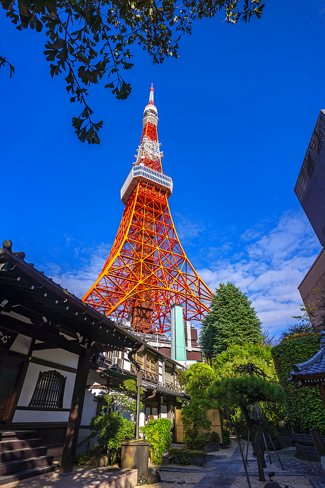 View of Tokyo Tower and Shinkoin Buddhist Temple against blue sky, Shibakoen, Minato City, Tokyo, Honshu, Japan