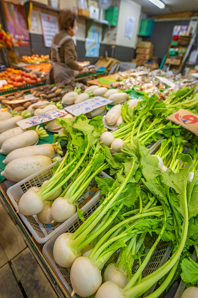 View of fresh vegetables on stall in Omicho Market, Kanazawa City, Ishikawa Prefecture, Honshu, Japan