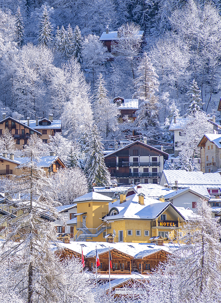 View of snow covered trees, mountains and Courmayeur from Dolonne during winter, Courmayeur, Aosta Valley, Italy, Europe