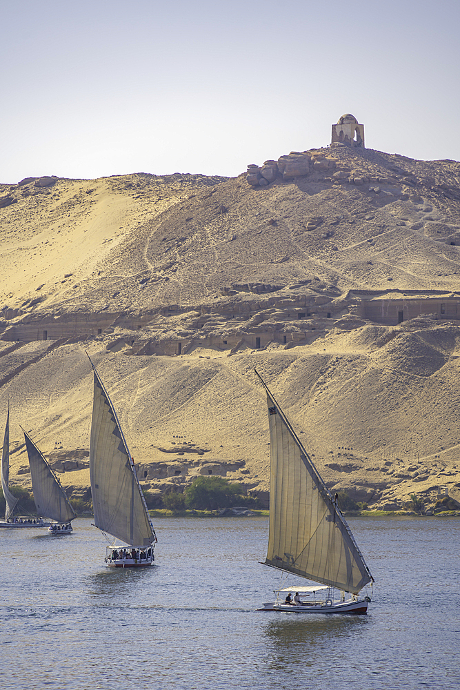 View of fellucas on the Nile river on a sunny day, Aswan, Nubia, Egypt, North Africa, Africa