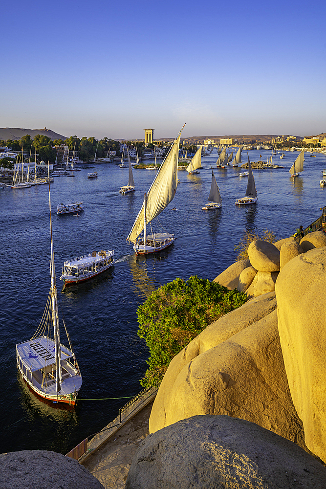 View of fellucas on the Nile river from Feryal Garden during golden hour, Aswan, Nubia, Egypt, North Africa, Africa