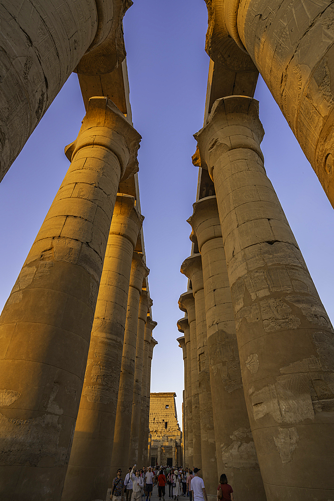 View of Luxor Temple during golden hour, Luxor, Egypt, Africa
