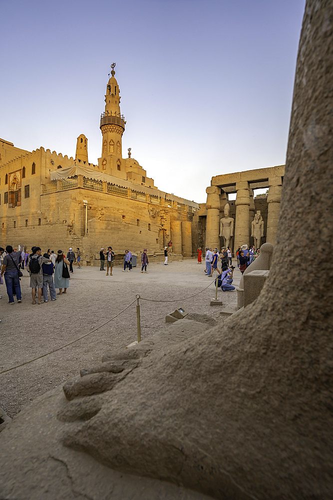 View of Luxor Temple during golden hour, Luxor, Egypt, Africa