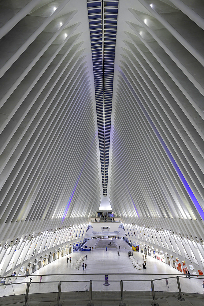 View of interior of the Oculus transportation hub at the World Trade Center at dusk in Lower Manhattan, New York City, United States of America, North America