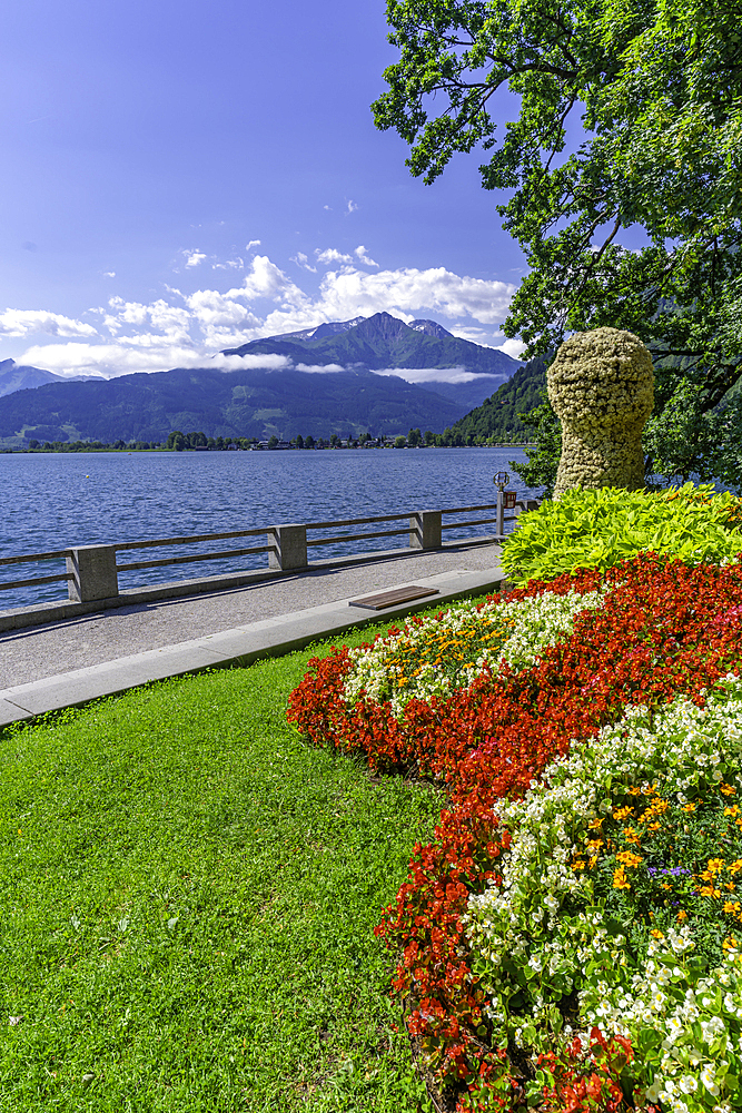 View of garden overlooking Lake Zell in Zell am See on a sunny day, Zell am See, Salzburg, Austria, Europe