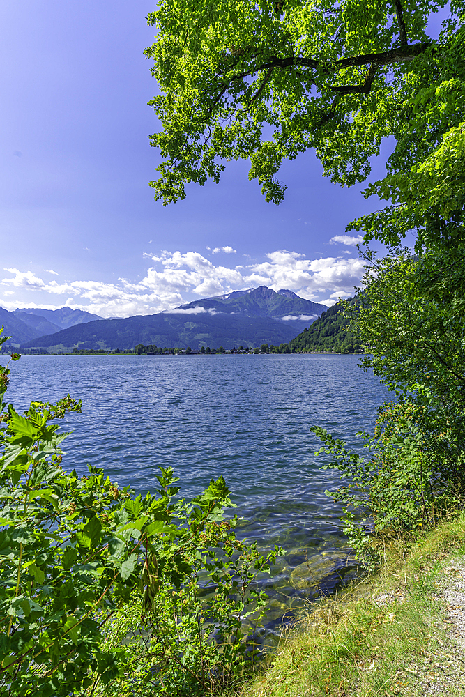 View of Lake Zell in Zell am See on a sunny day, Zell am See, Salzburg, Austria, Europe