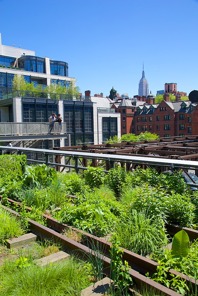 Empire State Building from the High Line, New York, United States of America, North America