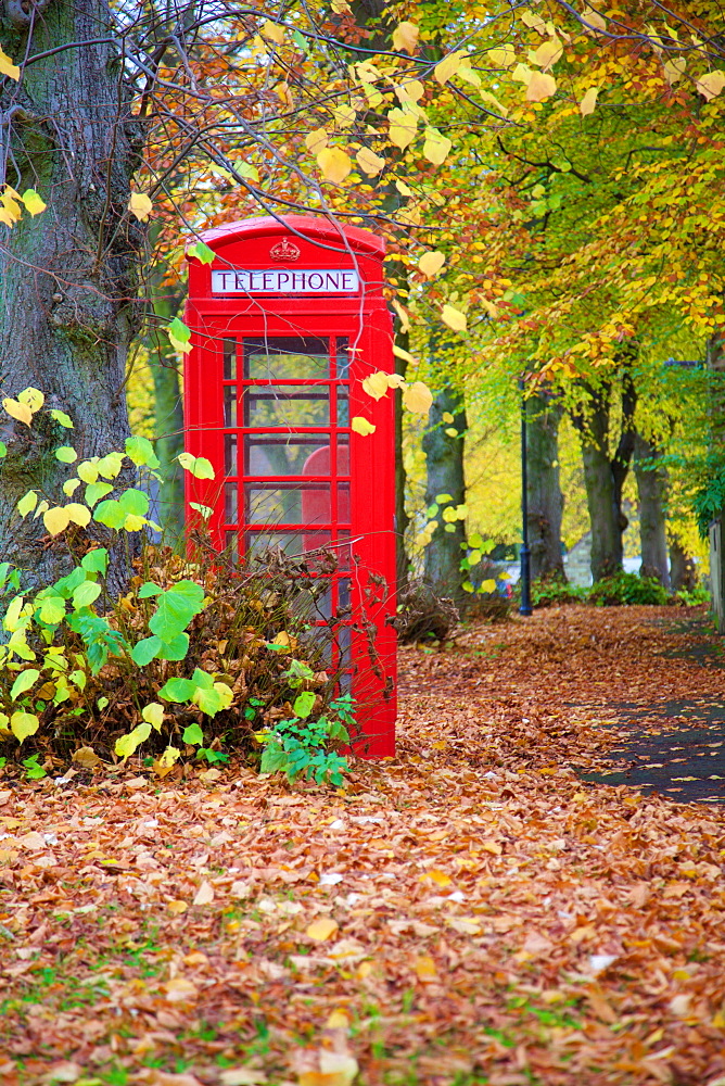 Red telephone box in autumn, Teversal Village, Nottinghamshire, England, United Kingdom, Europe