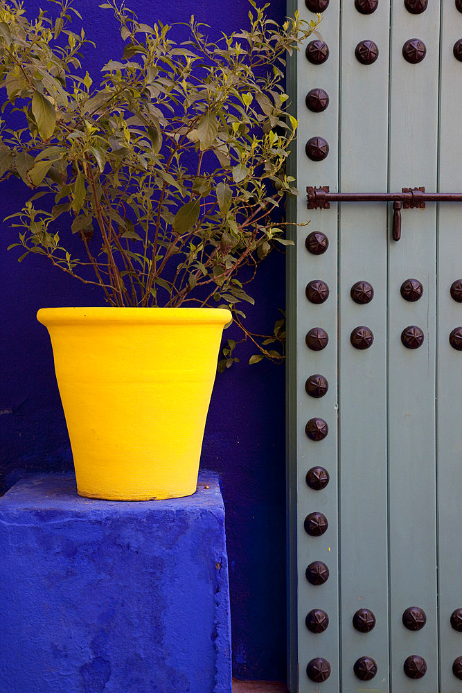 Majorelle Gardens, Marrakesh, Morocco, North Africa, Africa