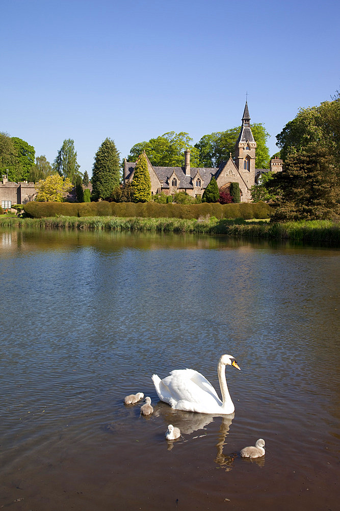 Village and lake, Newstead Abbey Estate, Nottinghamshire, England, United Kingdom, Europe