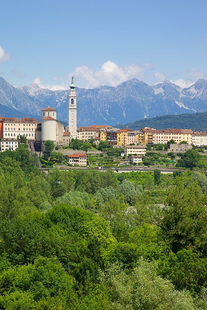 View of town and Duomo of San Martino, Belluno, Province of Belluno, Veneto, Italy, Europe