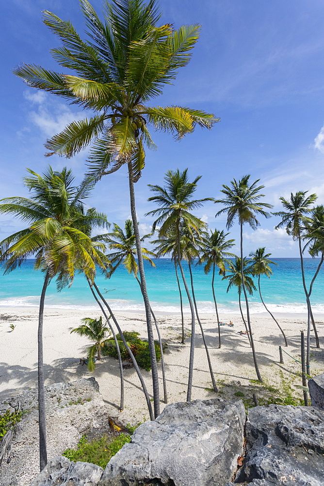 Bottom Bay, St. Philip, Barbados, West Indies, Caribbean, Central America