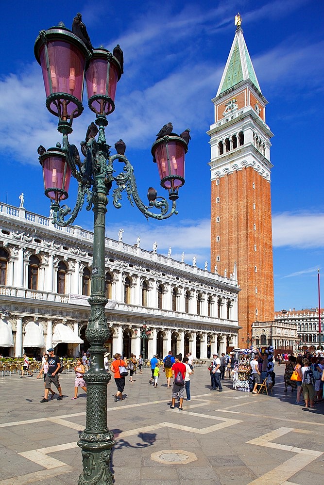 Campanile and Piazza San Marco, Venice, UNESCO World Heritage Site, Veneto, Italy, Europe