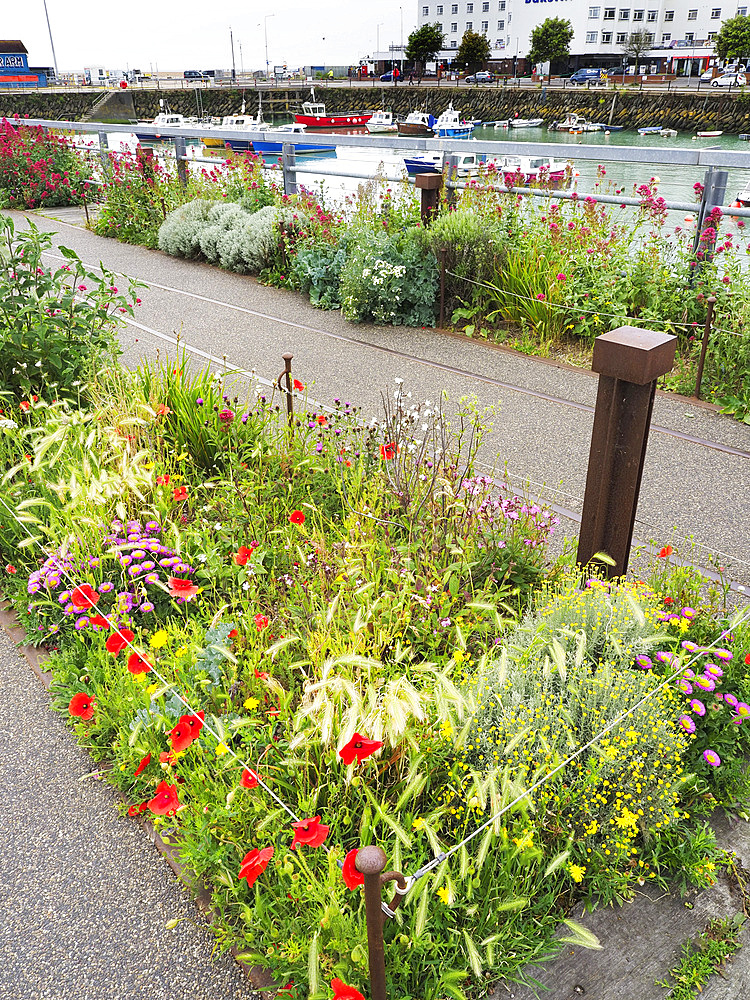 Flowers at Folkestone Harbour Viaduct and Swing Bridge Folkestone Kent