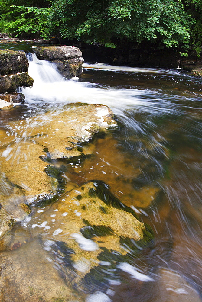 Redmire Force near Swinithwaite in Wensleydale, Yorkshire Dales, Yorkshire, England, United Kingdom, Europe