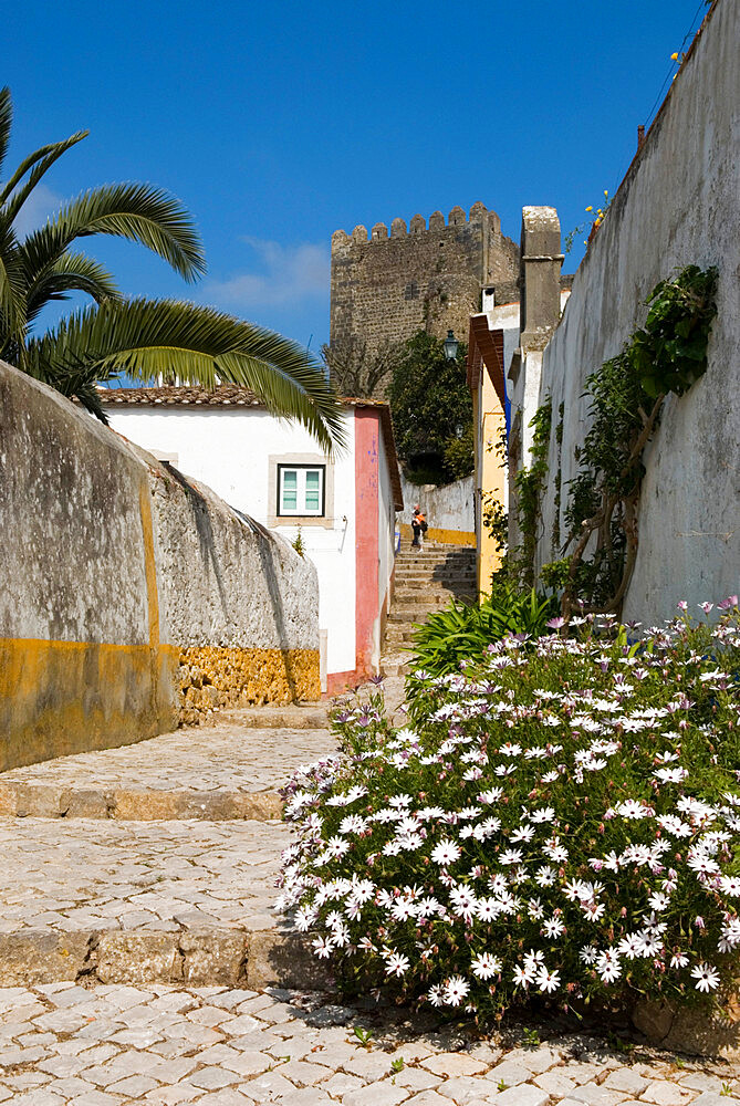 Cobbled street inside the old town, Obidos, Estremadura, Portugal, Europe