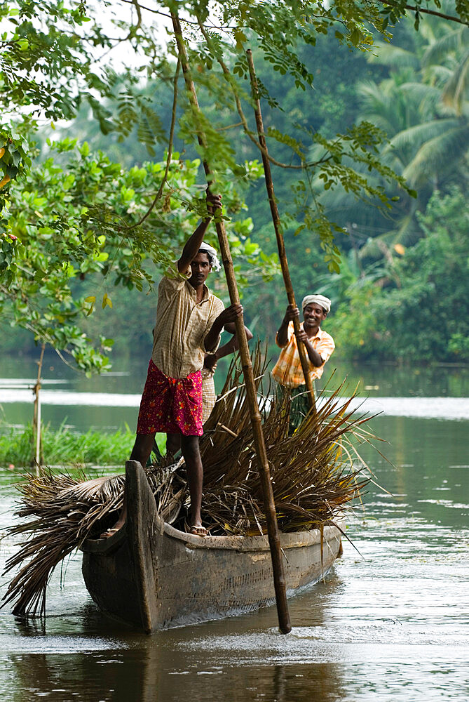 Locals transporting palm leaves on the Backwaters, near Alappuzha (Alleppey), Kerala, India, Asia