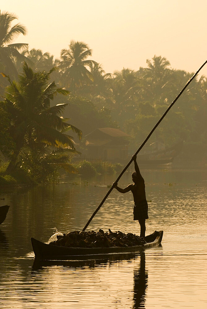 Sunset on the Backwaters, near Alappuzha (Alleppey), Kerala, India, Asia