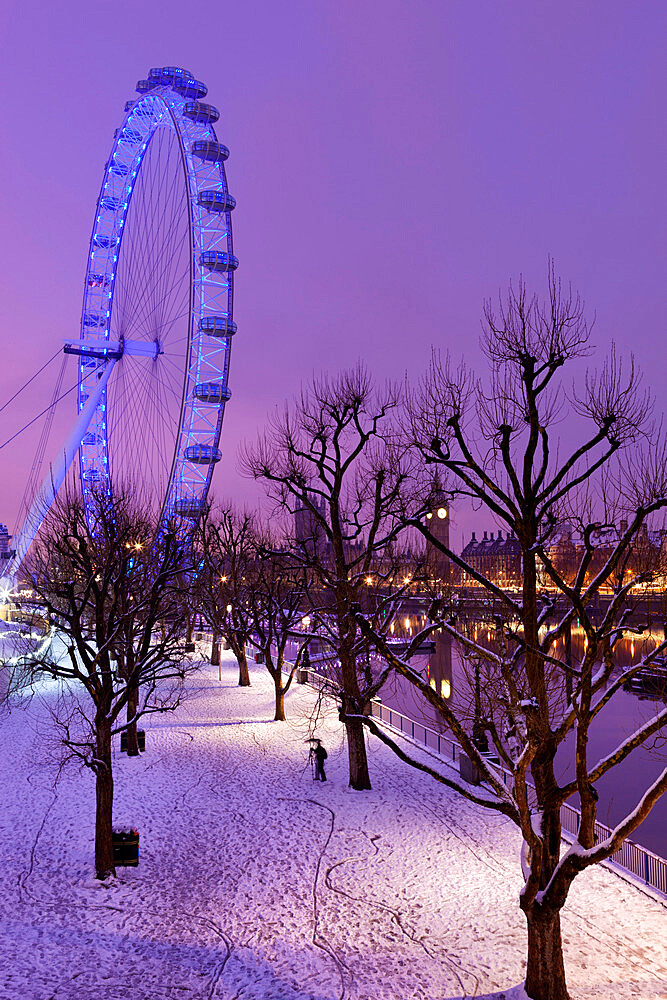 Houses of Parliament and London Eye in winter, London, England, United Kingdom, Europe