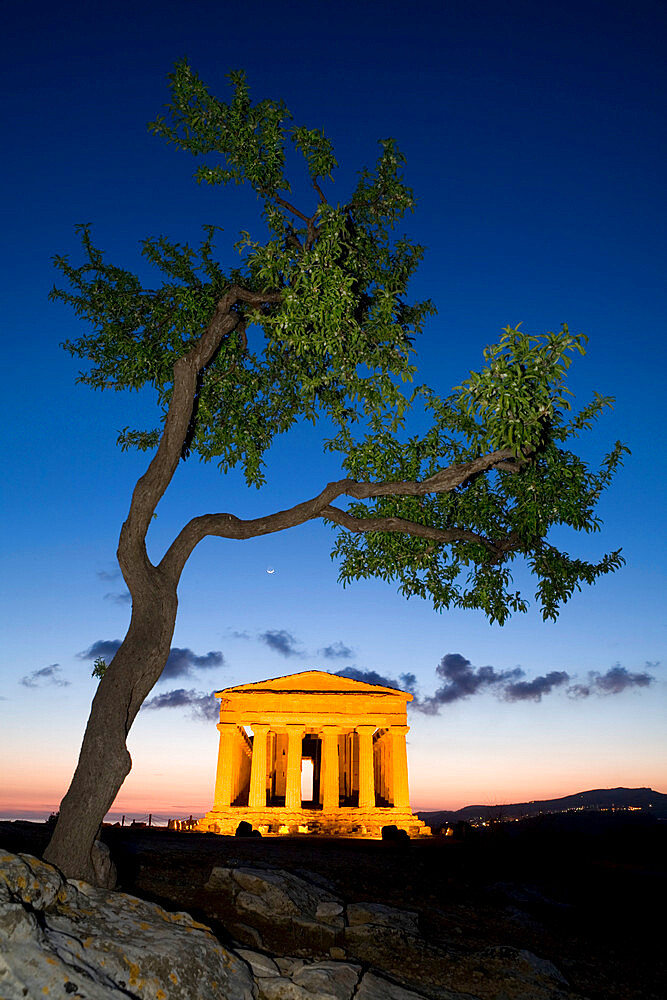 Tempio di Concordia (Concord) and Almond tree at dusk, Valle dei Templi, UNESCO World Heritage Site, Agrigento, Sicily, Italy, Europe