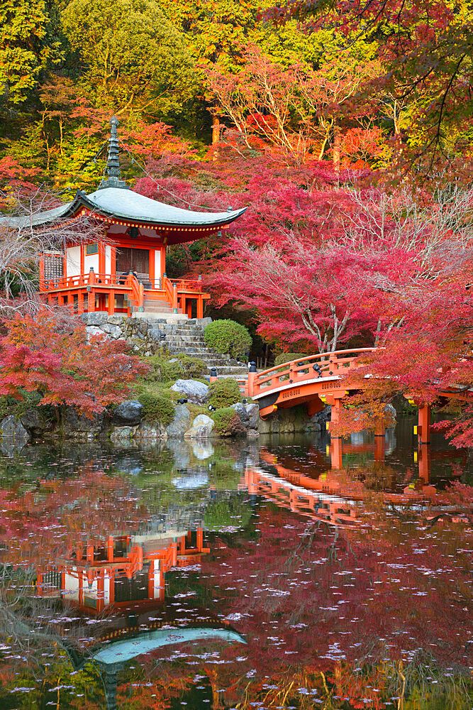 Japanese temple garden in autumn, Daigoji Temple, Kyoto, Japan, Asia