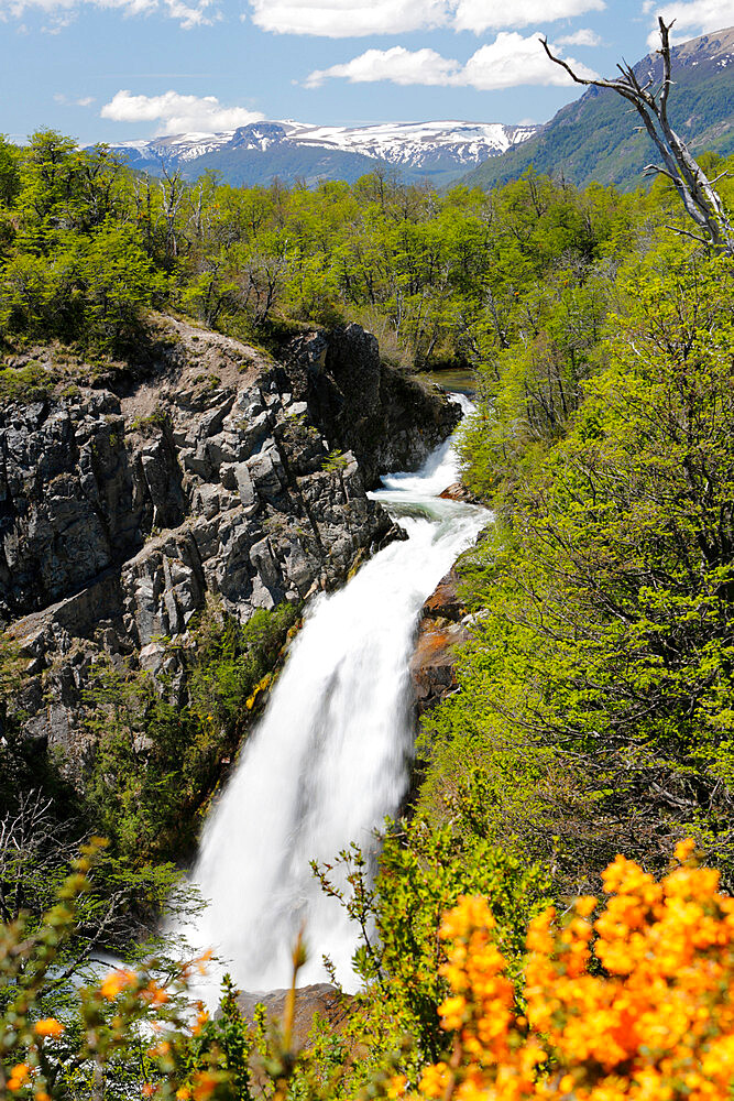 Cascada Vullignanco along the Seven Lakes Drive, San Martin de los Andes, Nahuel Huapi National Park, The Lake District, Argentina, South America