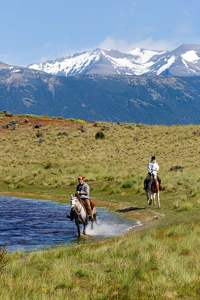 Gaucho on horse galloping by lake at Estancia Alta Vista, El Calafate, Parque Nacional Los Glaciares, UNESCO World Heritage Site, Patagonia, Argentina, South America