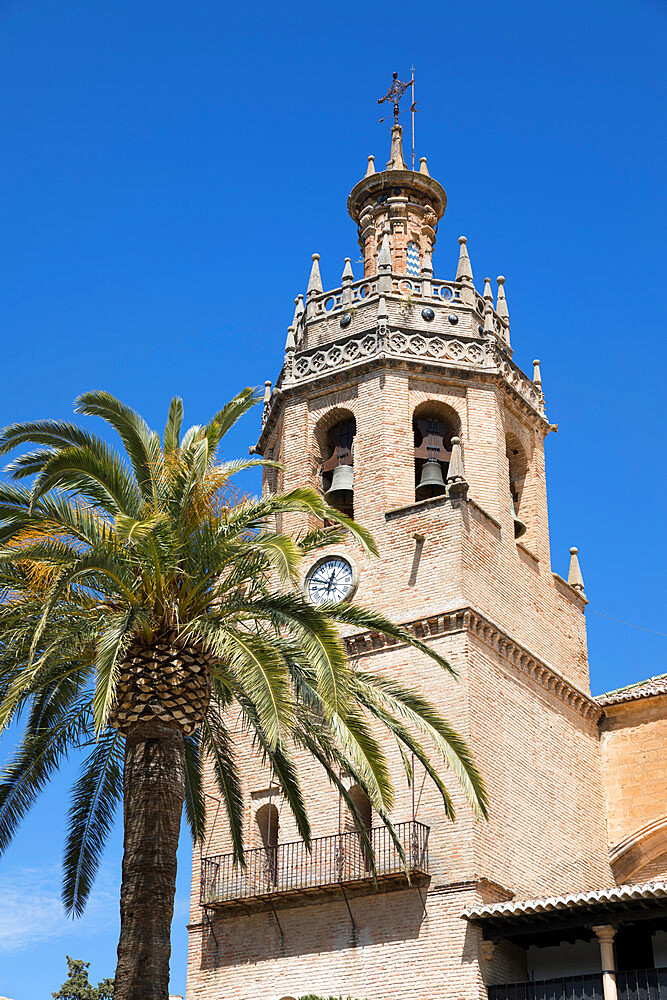 Palm tree and tower of the Iglesia de Santa Maria la Mayor, Ronda, Andalucia, Spain, Europe