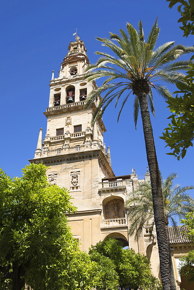 Torre del Alminar belfry of the Mezquita viewed from the Patio de los Naranjos, Cordoba, Andalucia, Spain, Europe