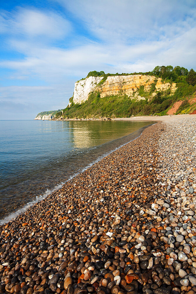 Shingle beach and cliffs of Seaton Hole at high tide, Seaton, Jurassic Coast, UNESCO World Heritage Site, Devon, England, United Kingdom, Europe