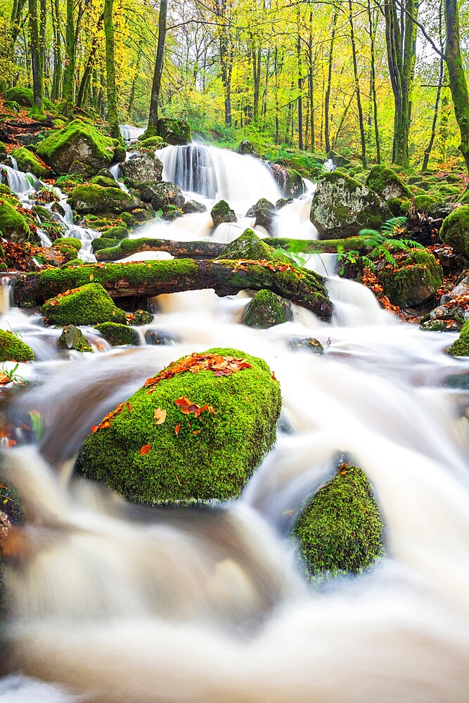 Waterfall in autumn woodland beside Loch Ken, Galloway Forest Park, Dumfries and Galloway, Scotland, United Kingdom, Europe