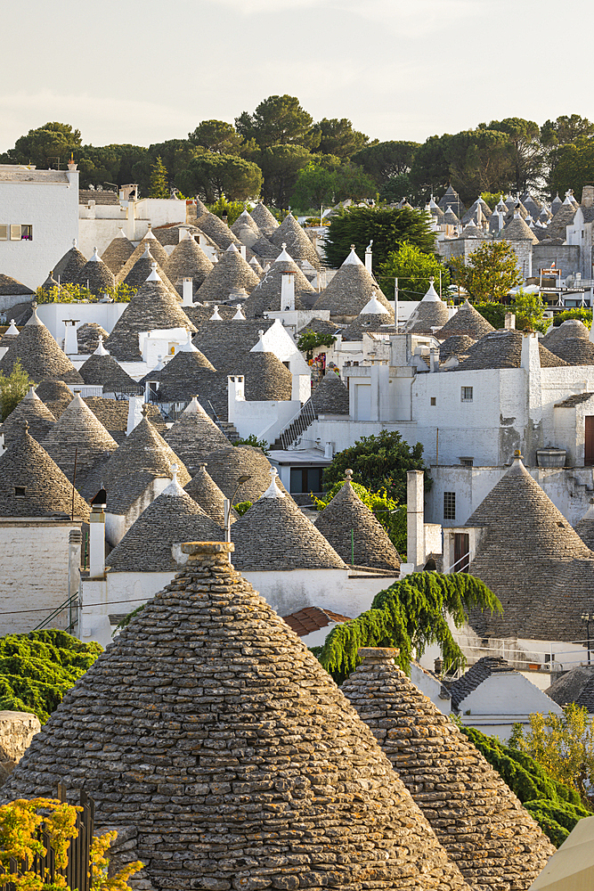 View over conical stone roofs of traditional trulli houses in the old town, Alberobello, Puglia, Italy, Europe