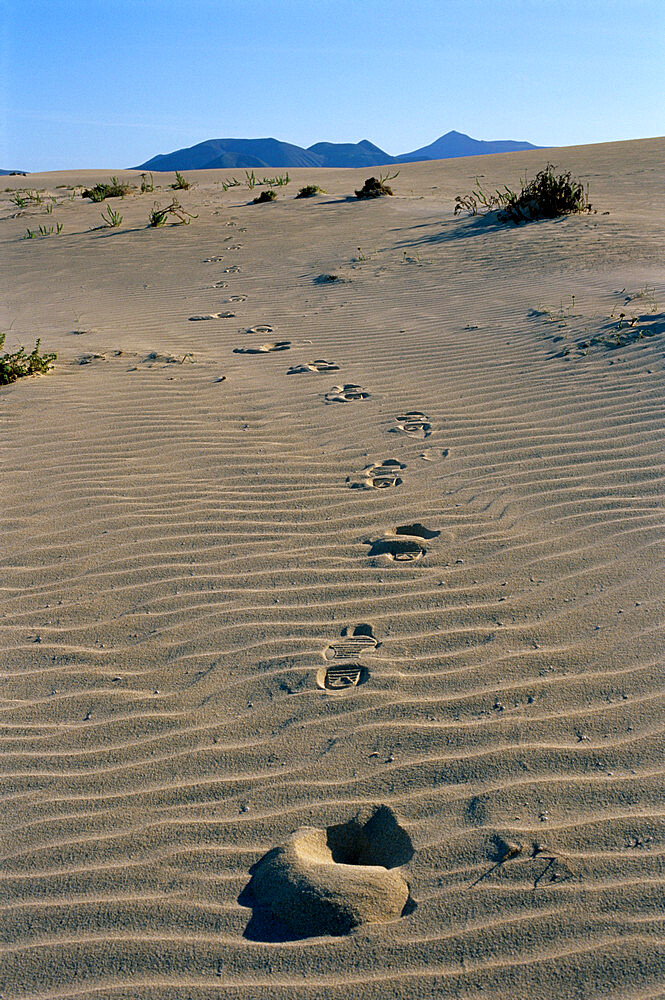 Footprints through sand dunes, near Corralejo, Fuerteventura, Canary Islands, Spain, Europe