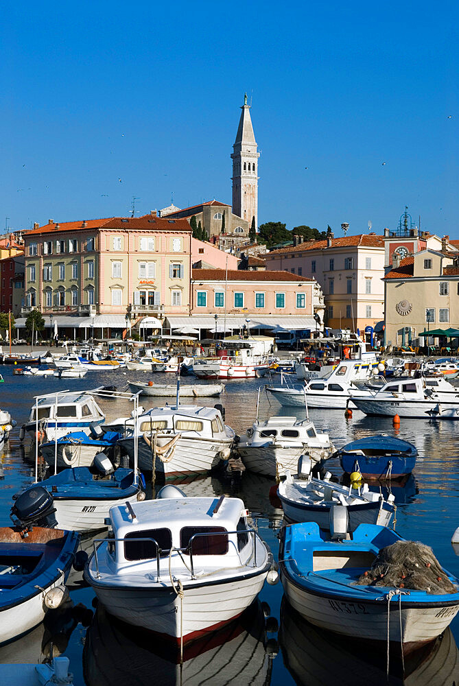 Fishing harbour and St. Euphemia's Church, Rovinj, Istria, Croatia, Adriatic, Europe