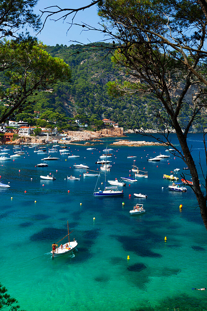 View over bay, Aiguablava, near Begur, Costa Brava, Catalonia, Spain, Mediterranean, Europe