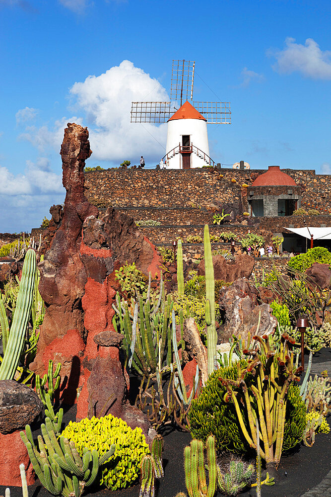 Jardin de Cactus (Cactus Garden), Guatiza, Lanzarote, Canary Islands, Spain