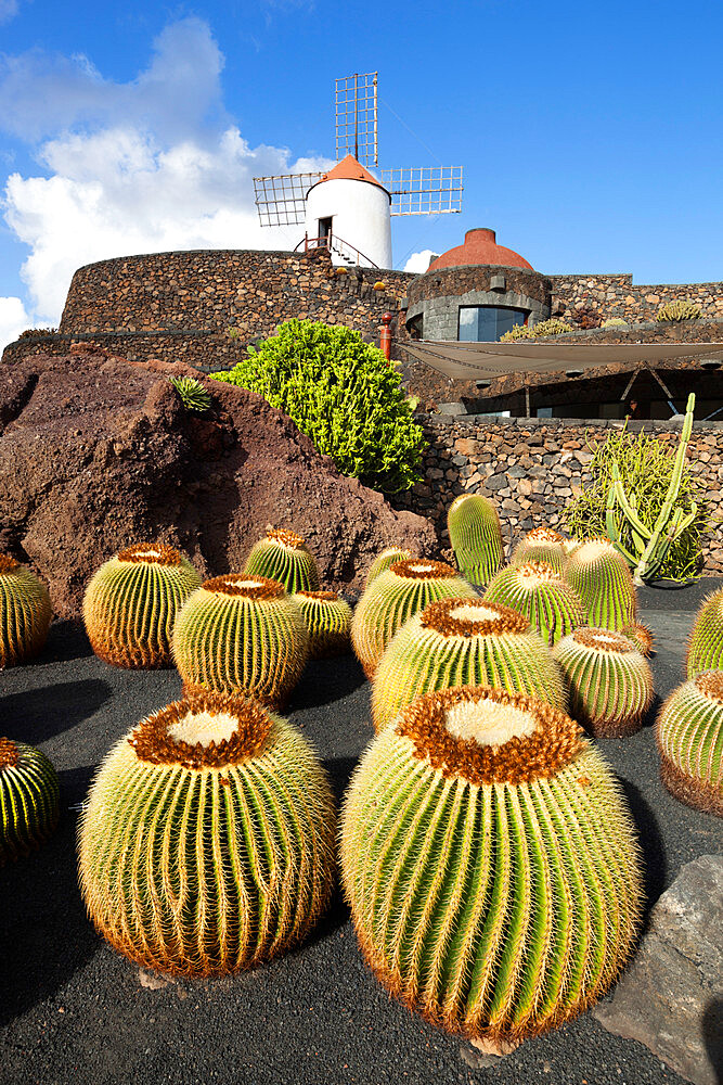 Jardin de Cactus (Cactus Garden), Guatiza, Lanzarote, Canary Islands, Spain