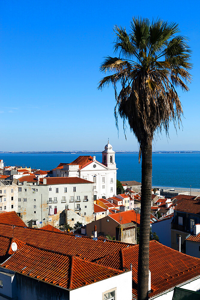 View over Alfama district from Miradouro das Portas do Sol, Alfama, Lisbon, Portugal, Europe