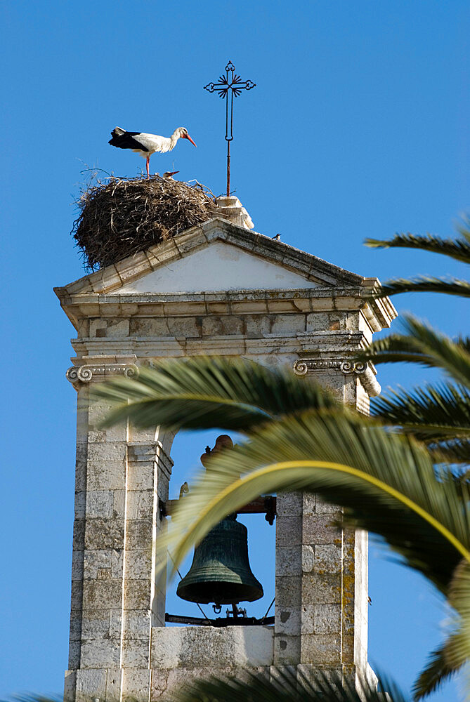 Bird nesting on church bell tower, Faro, Algarve, Portugal, Europe