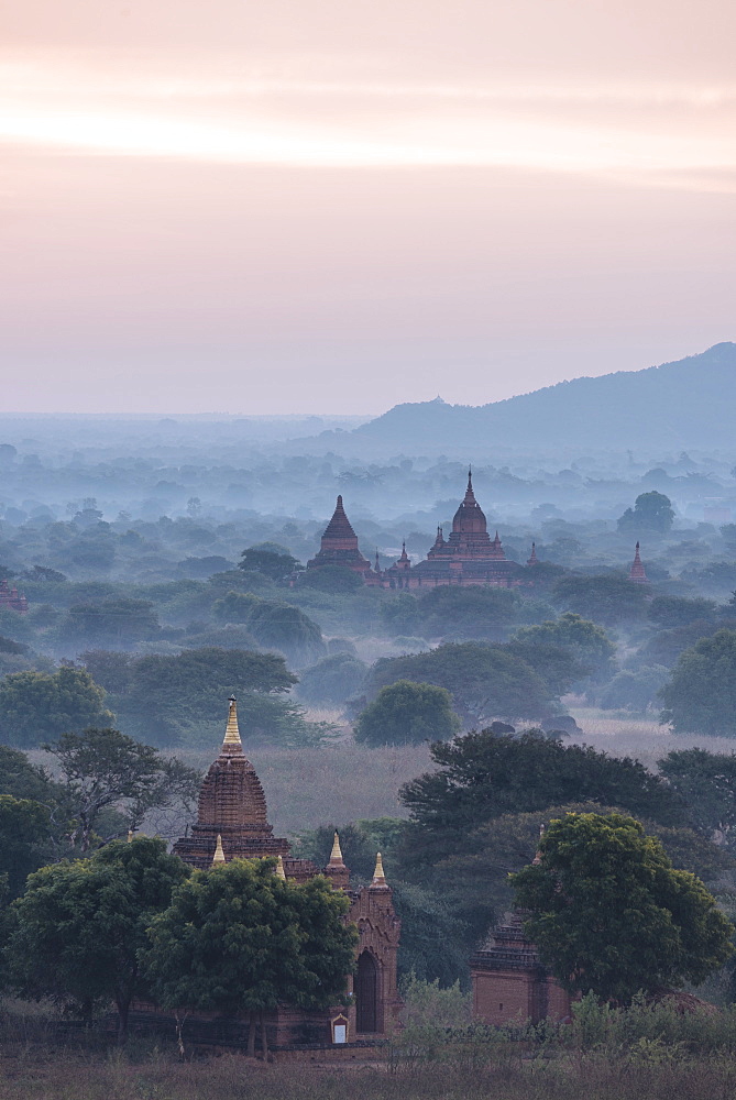 View of Temples at dawn, Bagan (Pagan), Mandalay Region, Myanmar (Burma), Asia